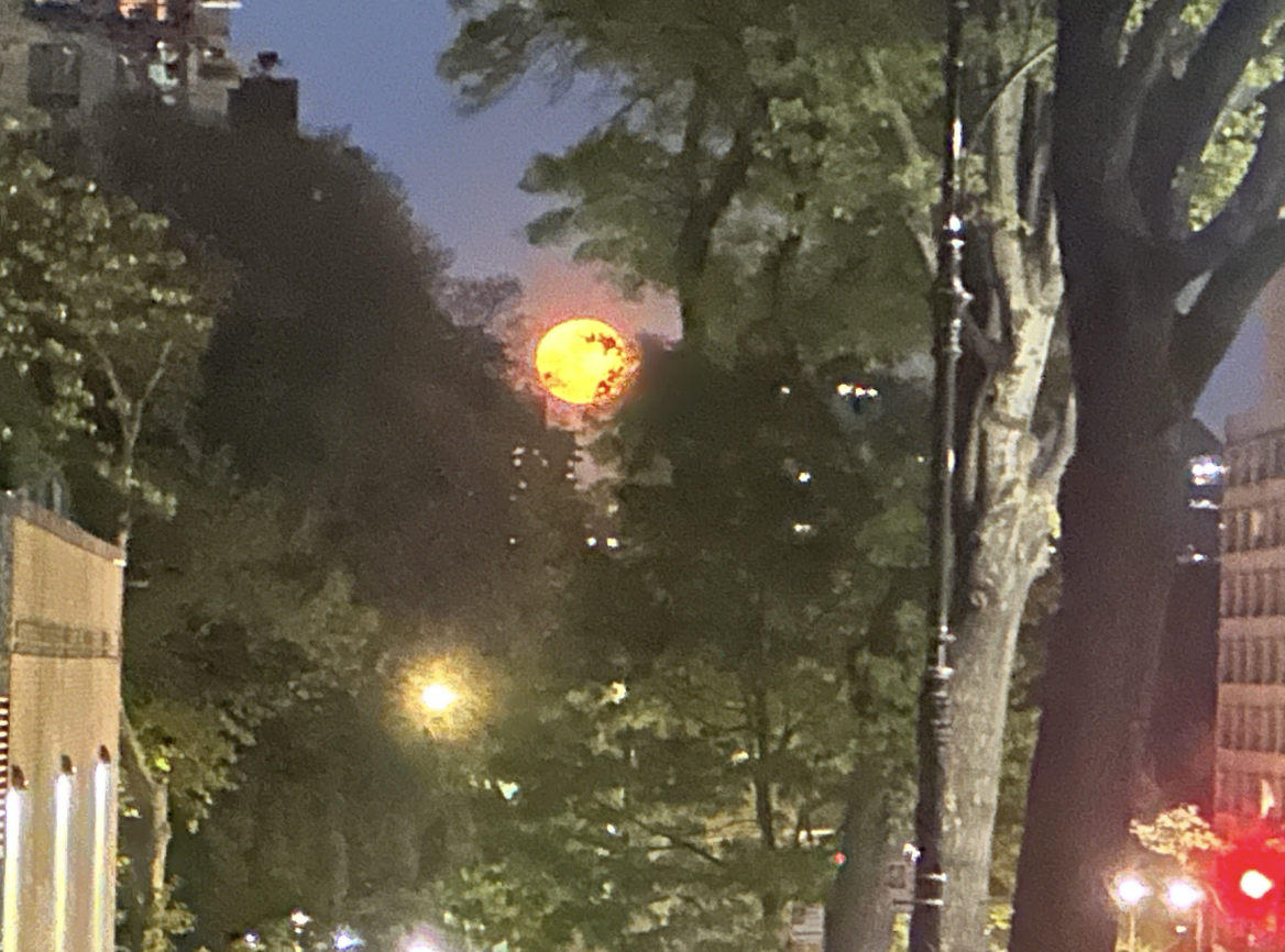 full flower moon through trees