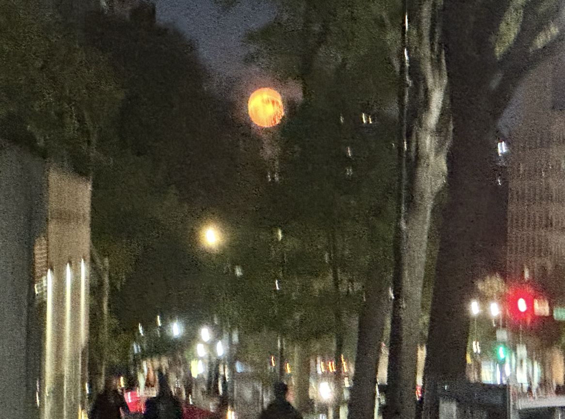 full flower moon over a NYC street